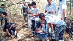 Senate OKs bill creating Las Piñas – Parañaque Wetland Park